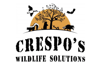 sponsor-logo_crespos_v3